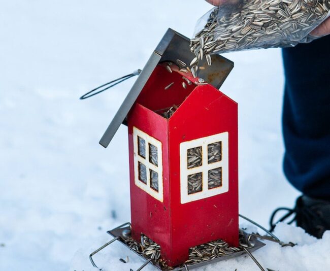 Red House Bird Feeder