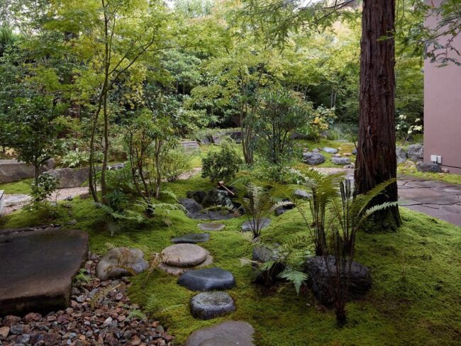 Forest-Style Garden With Verdant Moss