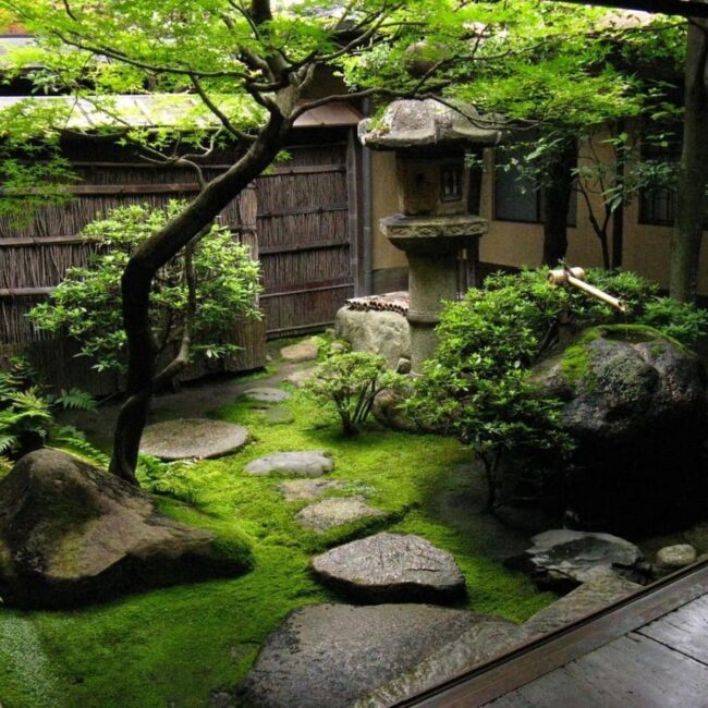 Moss-Draped Garden Enclosed by Bamboo