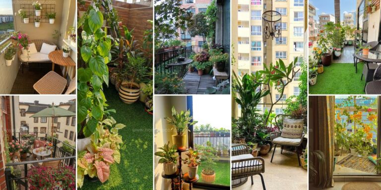 Best Balcony Garden Ideas