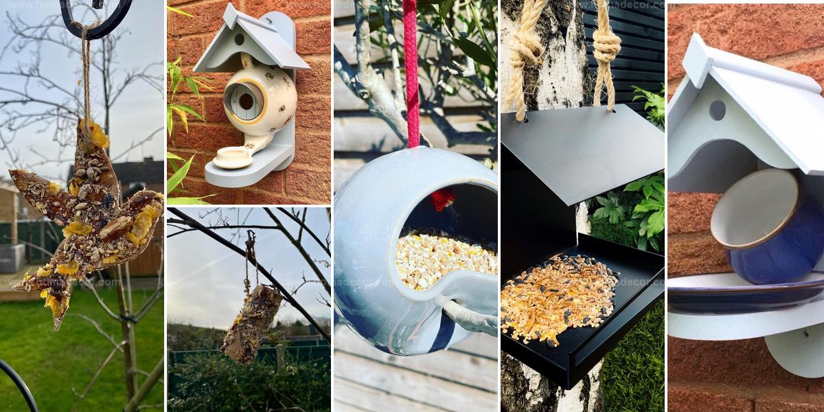 Best Bird Feeder Designs