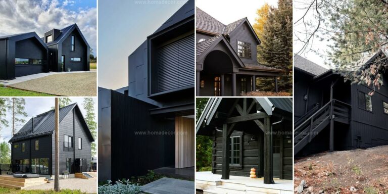 Best Black Exterior Concepts